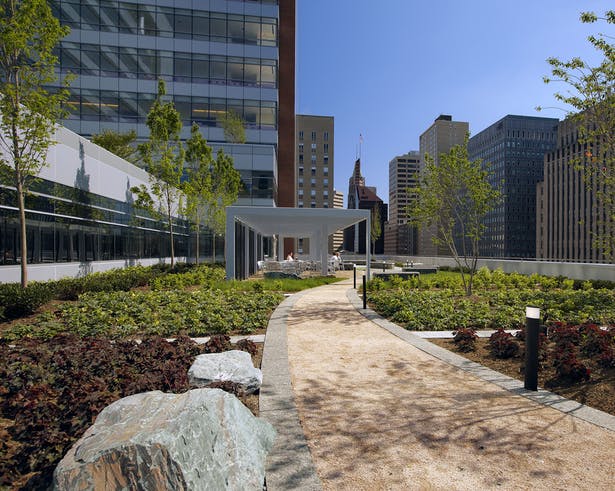 Mercy Hospital Baltimore Gallery Image 3